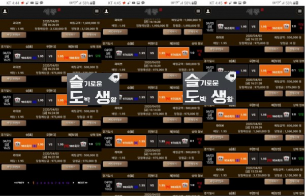 세종 토토 베팅내역 먹튀 증거자료.PNG