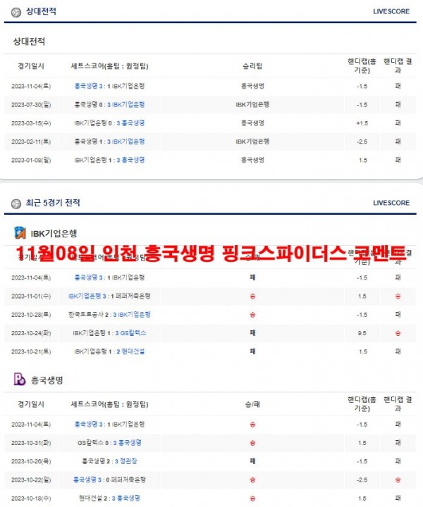 11월08일 인천 흥국생명 핑크스파이더스 코멘트