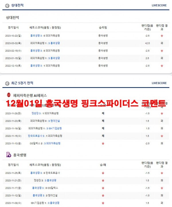 12월01일 흥국생명 핑크스파이더스 코멘트