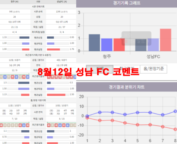 8월12일 성남 FC 코멘트