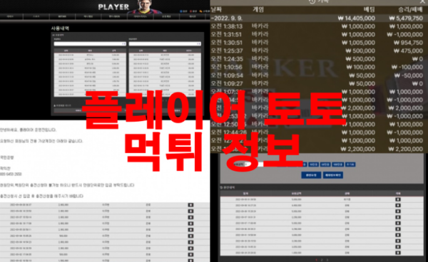 플레이어 토토 먹튀 정보